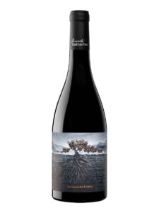 Proyecto Garnachas, Perdida del Pirineo, Vino de España, dry, red (organic)