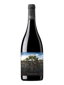 Proyecto Garnachas, Moncayo, Vino de España, dry, red
